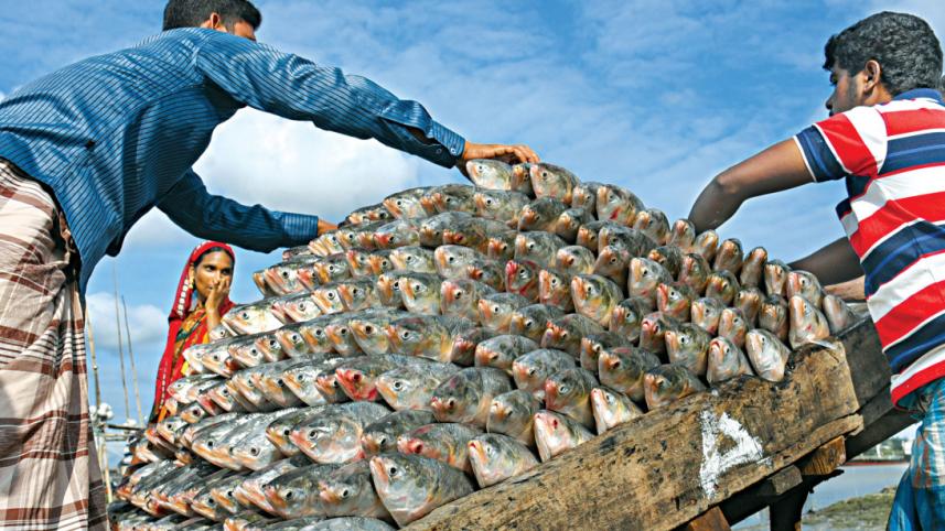ilish.jpg