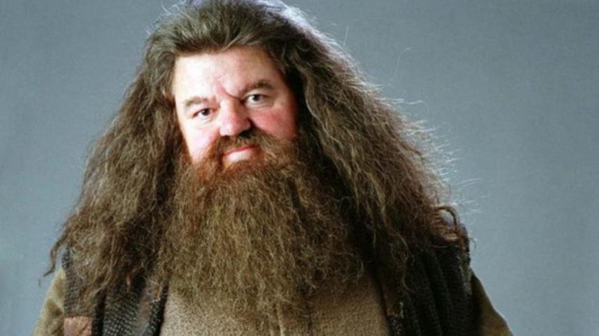 hagrid.jpg