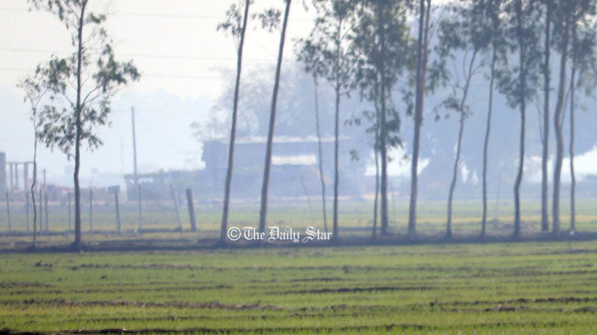 হেমন্তের সকাল