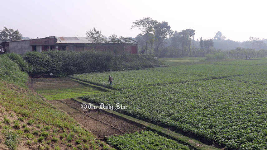 হেমন্তের সকাল