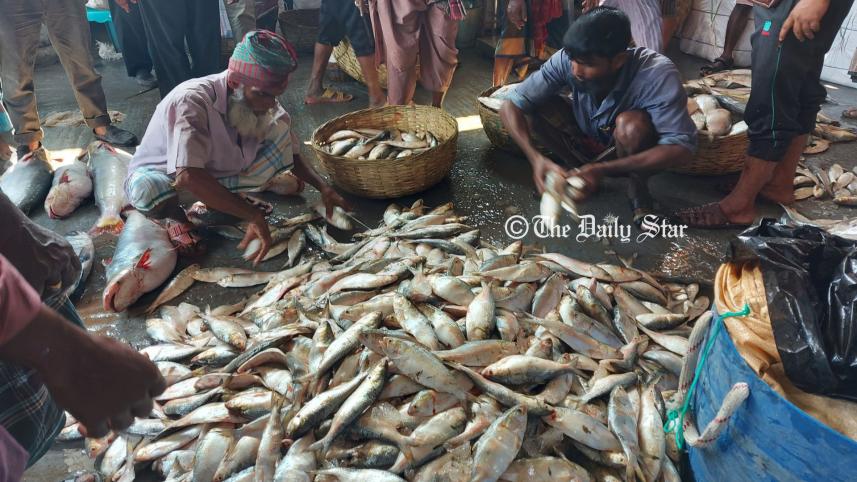 ইলিশ বরিশাল