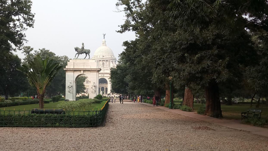 পশ্চিমবঙ্গ গাছ