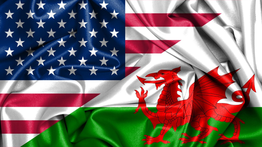 usa_vs_wales.jpg