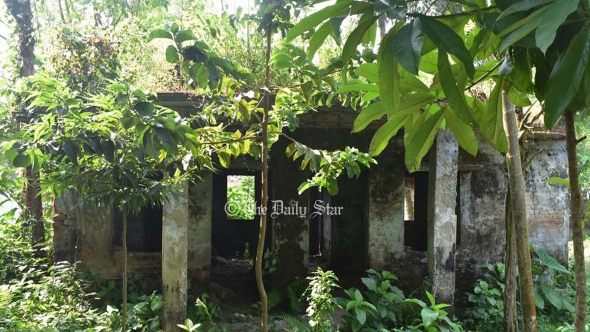 বন বিভাগের সৈয়দপুর উপজেলা দপ্তর