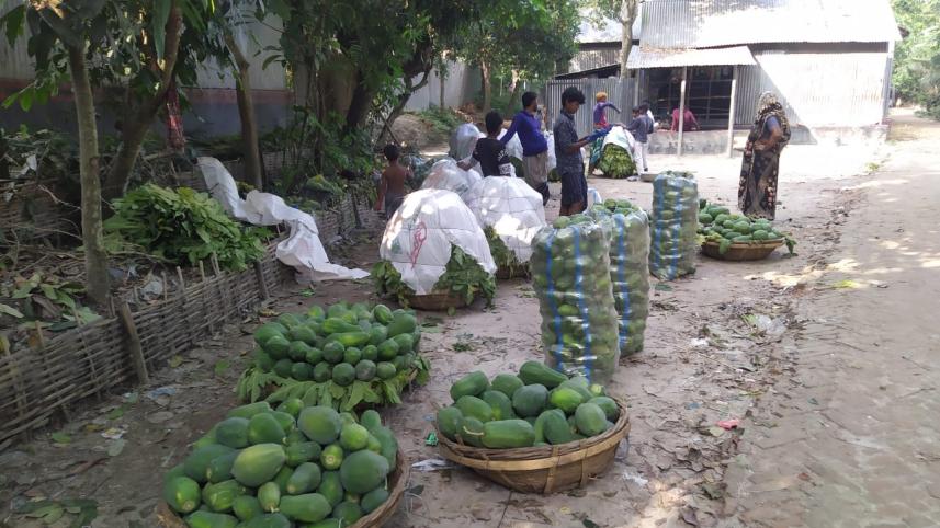 ৭ টাকার পেঁপে যেভাবে ২৫ টাকা হয়