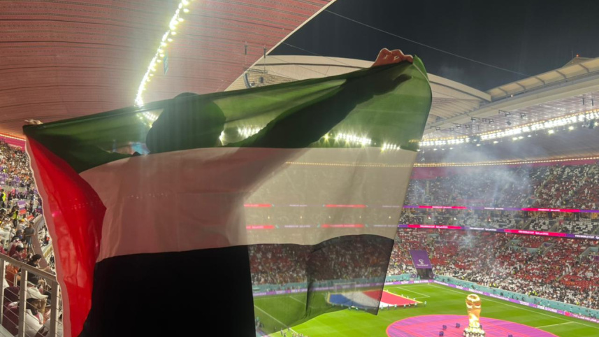 World Cup Football Fan