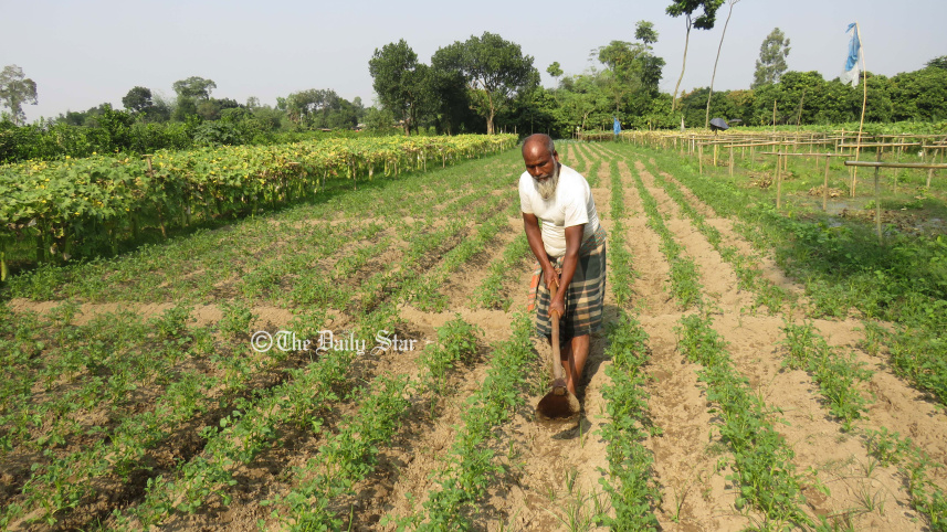 আলু বীজ নিয়ে প্রতারণা : আলু চাষের মৌসুমে রংপুরে আলু বীজ নিয়ে প্রতারণার অপরাধে ২ প্রতিষ্ঠানকে জরিমানা করা হয়েছে।