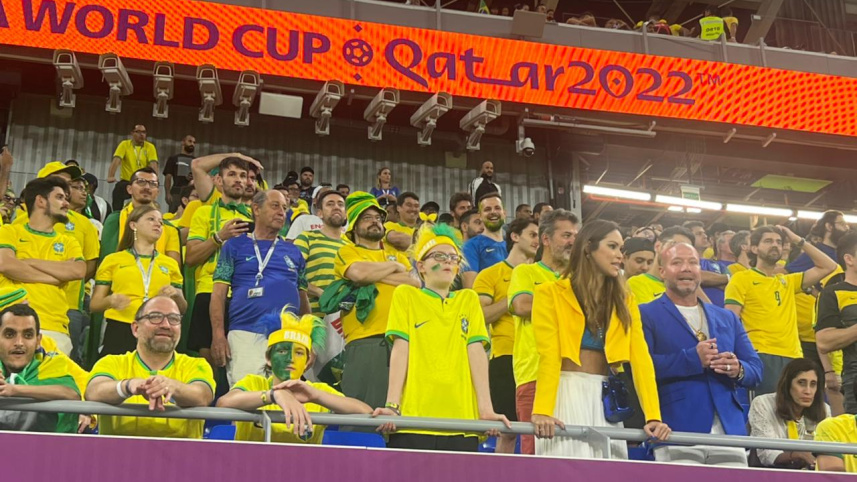 World Cup Football Fan