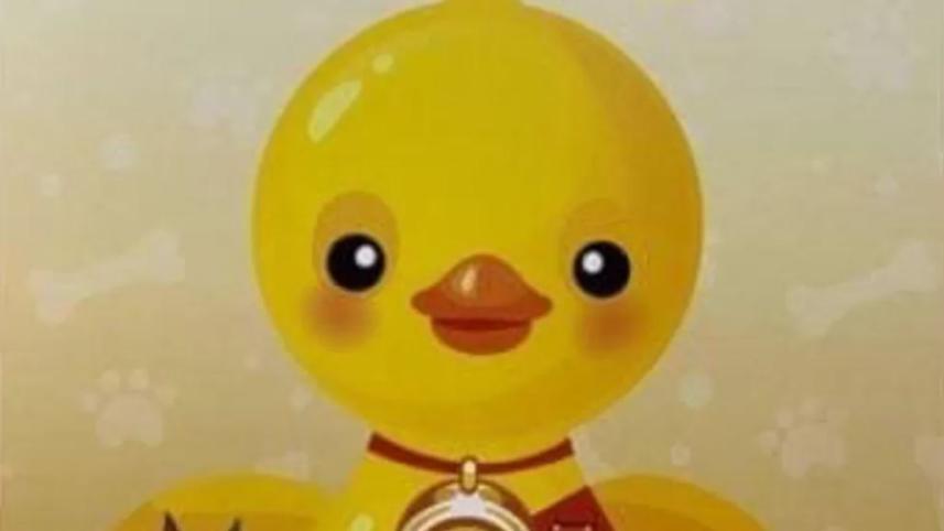 duck.jpg
