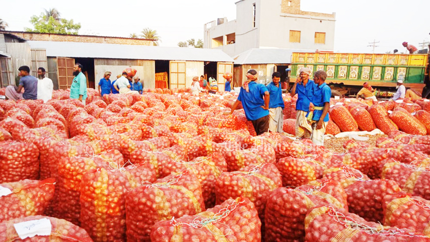 পেঁয়াজ, পাবনা, ফলন বিপর্যয়, কৃষি সম্প্রসারণ বিভাগ,