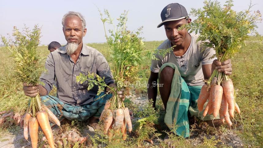 lalmonirhat_carrot2_2apr23.jpg