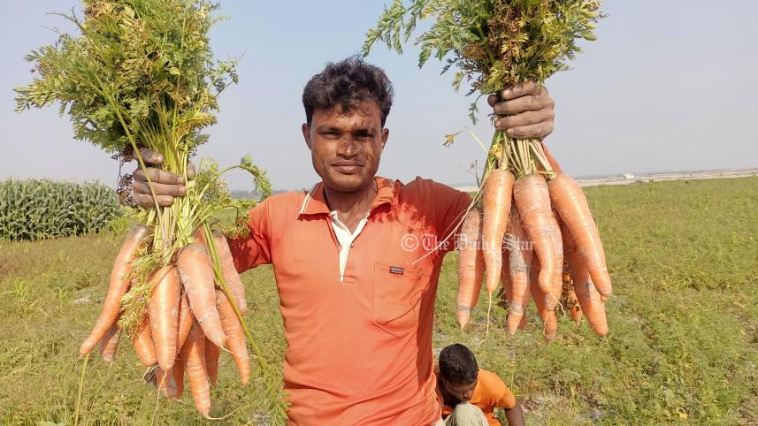 lalmonirhat_carrot3_2apr23.jpg