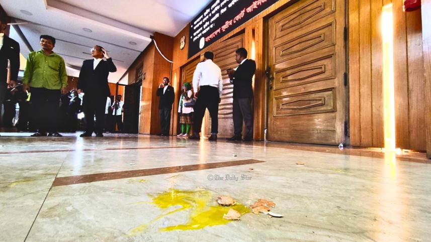 ডিম ছোড়াছুড়ি.jpg