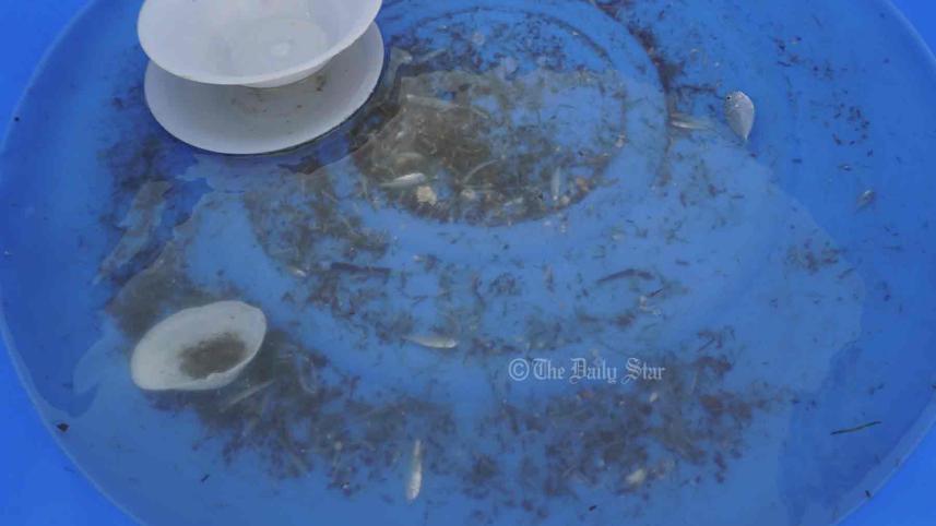 কক্সবাজারে চিংড়ির পোনা.jpg