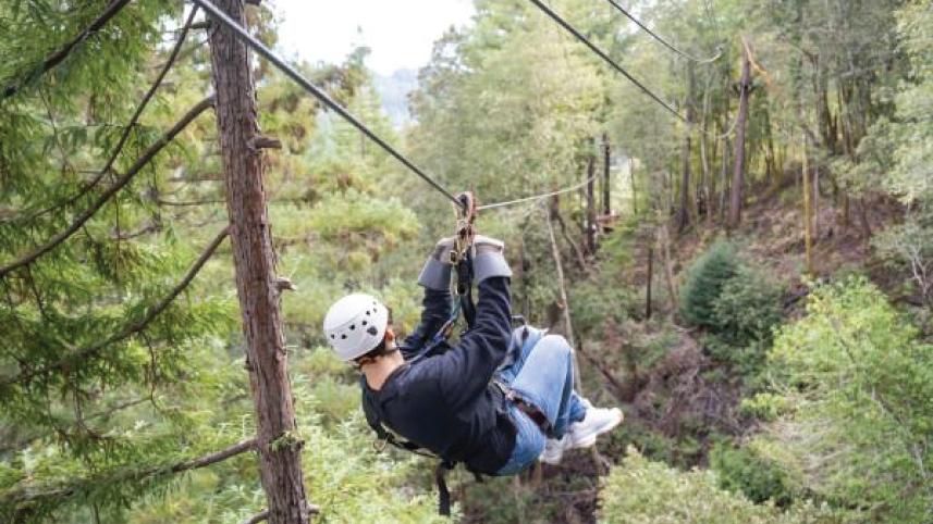 ziplineing-01.jpg