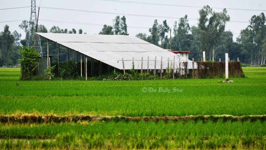 সোলার পাম্প.jpg