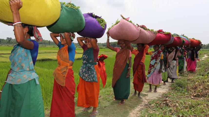 1._women_workers_with_headload_of_green_tea_leaf._credit._philip_gain.jpg