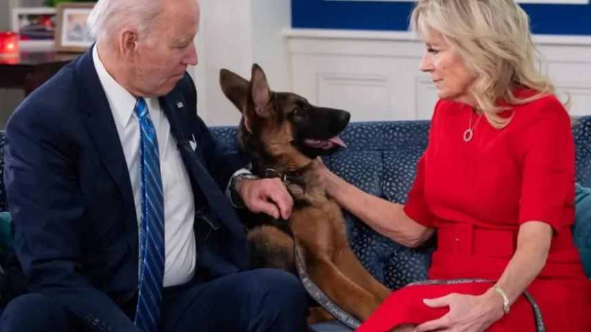 biden_dog_5.jpg