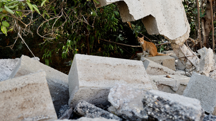 অধিকৃত পশ্চিম তীরের জেনিন শরণার্থী শিবিরে হামলা চালায় ইসরায়েল। ছবি: রয়টার্স