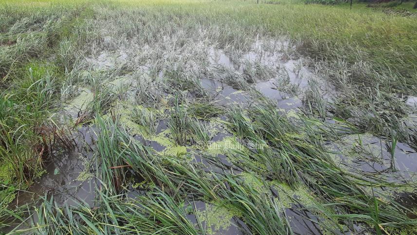 ঘূর্ণিঝড় মিধিলি