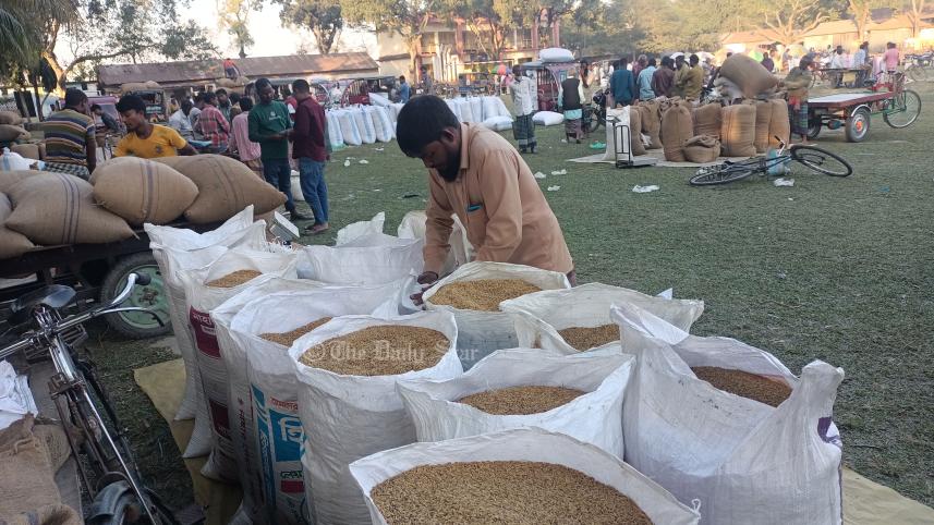 ধানের দাম.jpg