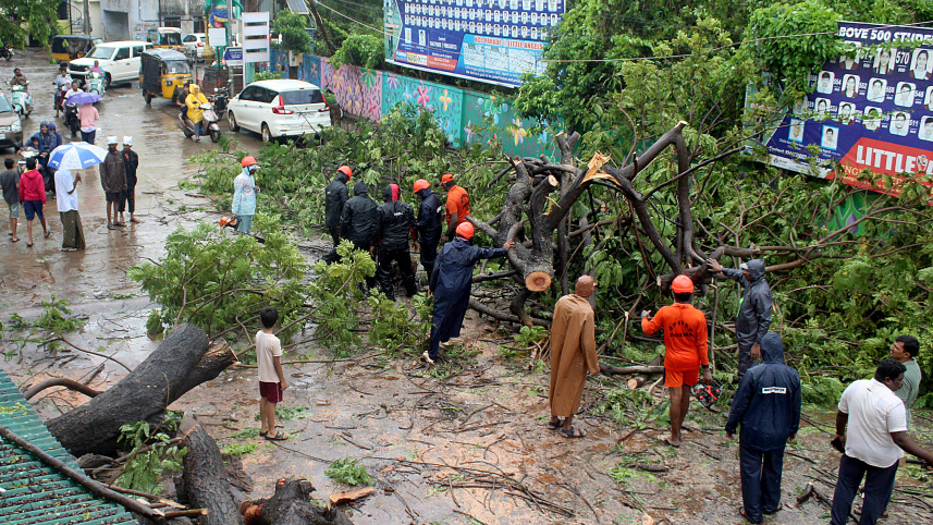 অন্ধ্র প্রদেশে মিগজাউমের প্রভাবে অনেক গাছ উপড়ে পড়ে। ছবি: রয়টার্স