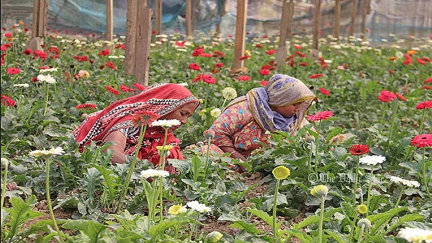 gadkhali-flower-market