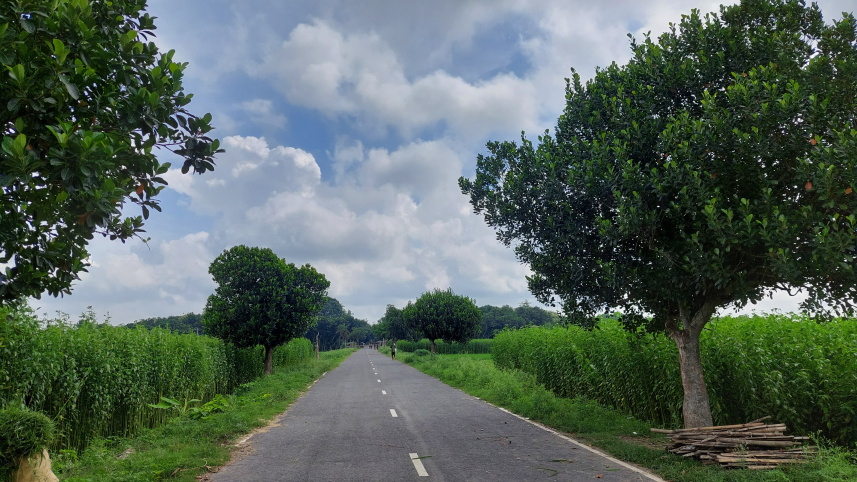 মেহেরপুর