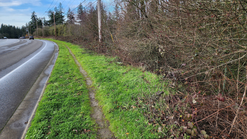 এখান থেকেই উদ্ধার করা হয় অক্ষত আইফোনটি। ছবি: রয়টার্স