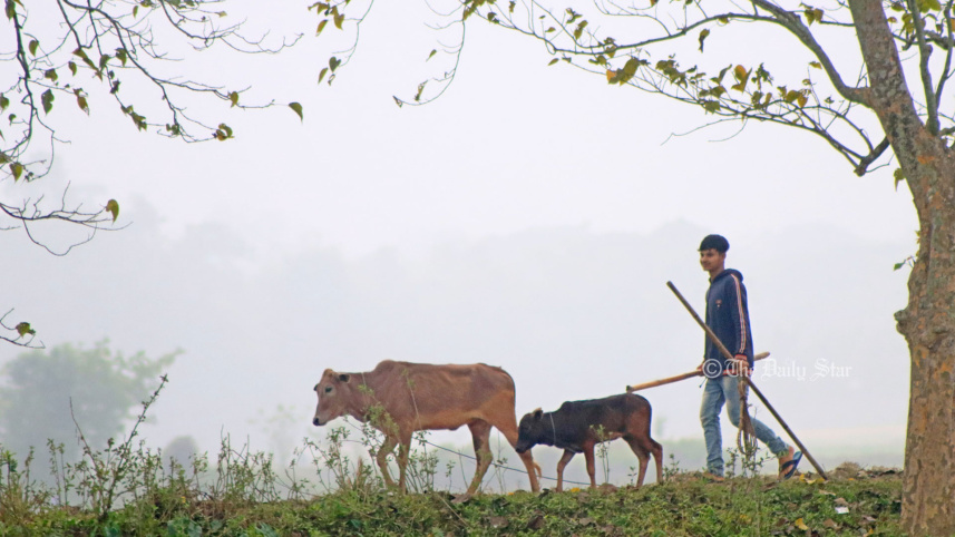 বৃহস্পতিবার দিবাগত রাত থেকে বৃষ্টির সম্ভাবনা, রাতের তাপমাত্রা কমবে