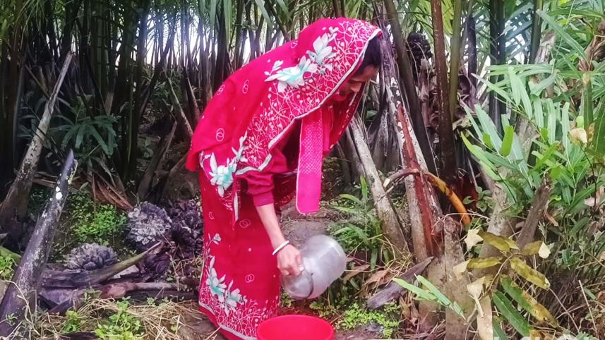 patuakhali molasses.jpg