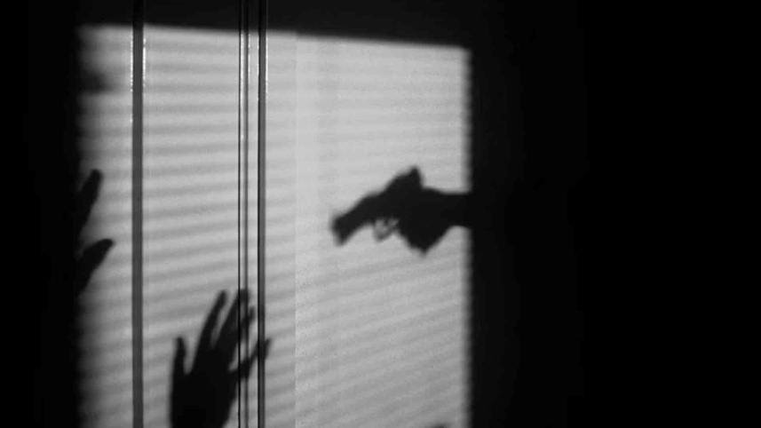 তারা পুলিশ, ডাকাতিও করেন