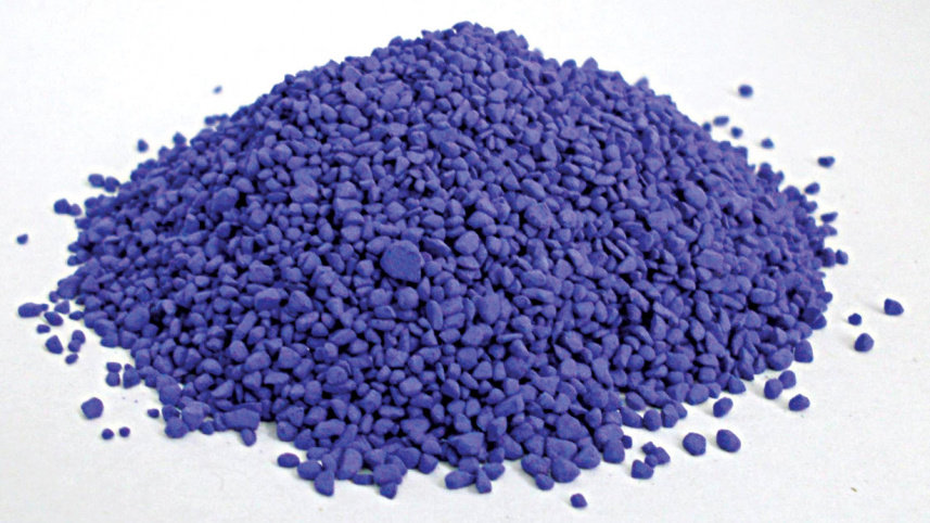 নিষিদ্ধ সত্ত্বেও প্রকা