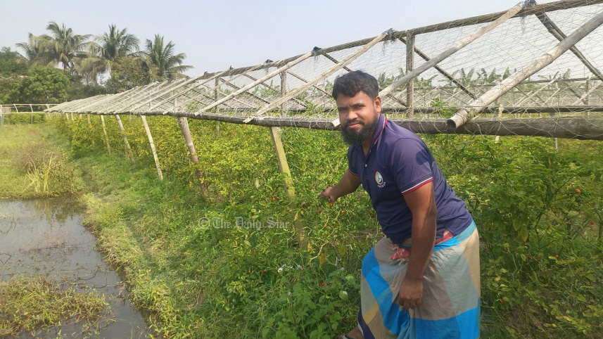 বোম্বাই মরিচ