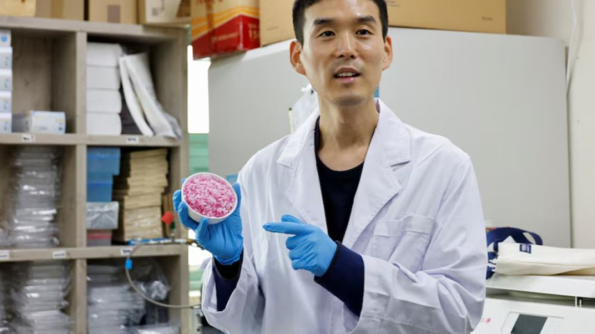 গরুর মাংসের চাল