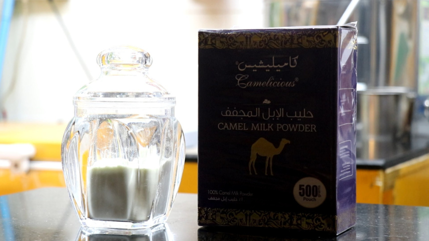 উটের দুধের চা