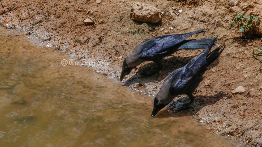 আজ সর্বোচ্চ তাপমাত্রা ৪২ দশমিক ৬ ডিগ্রি, গরম কমবে কবে জানাল আবহাওয়া অধিদপ্তর