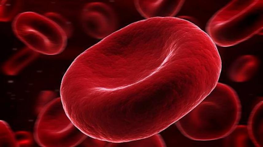 থ্যালাসেমিয়া