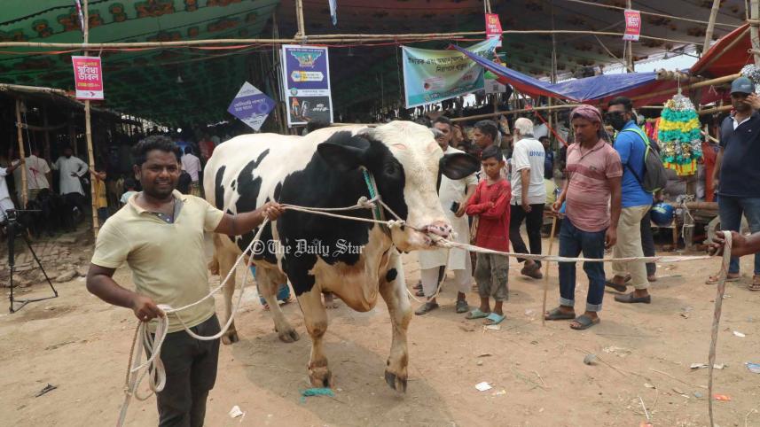 কোরবানির পশু ক্যাশলেসে কেনার সুযোগ