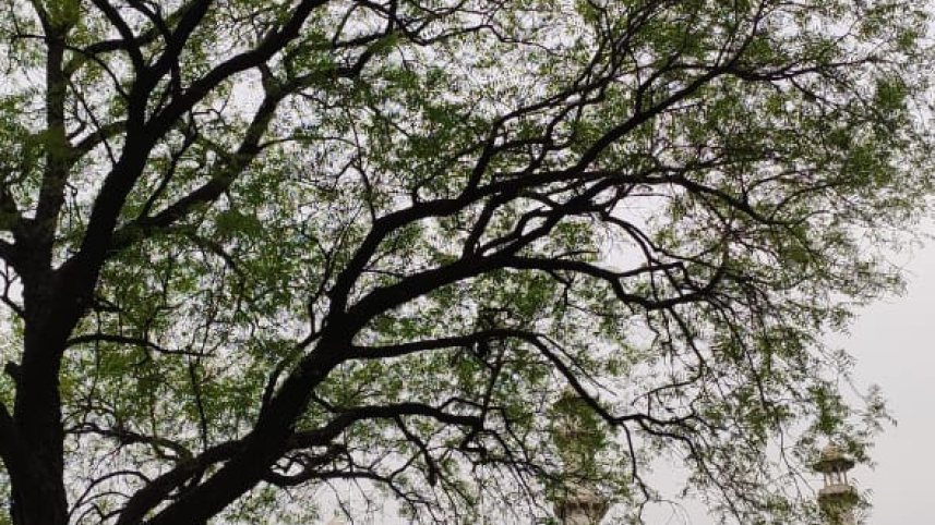 সমাধি কমপ্লেক্স