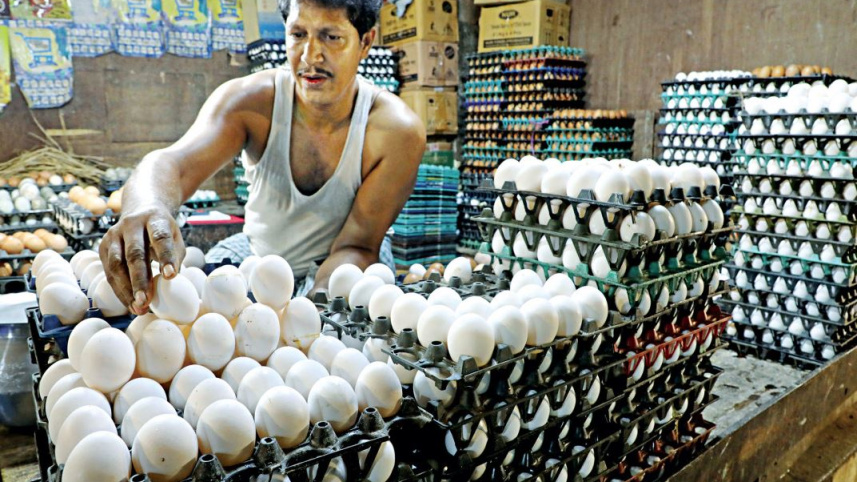 মুরগির দাম