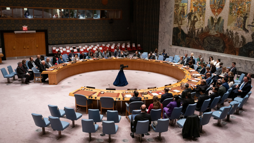 নিরাপত্তা পরিষদ 