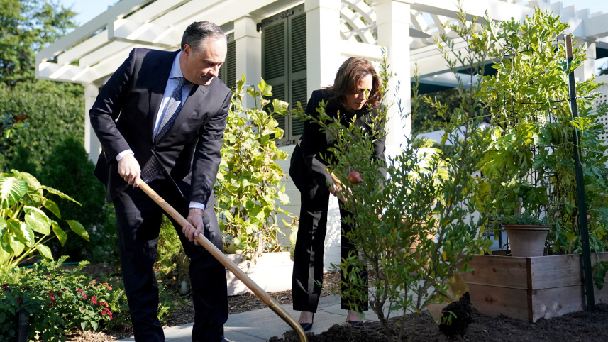 কমলা হ্যারিস ও ডোগ এমহফ গাছ লাগাচ্ছেন। ছবি: রয়টার্স