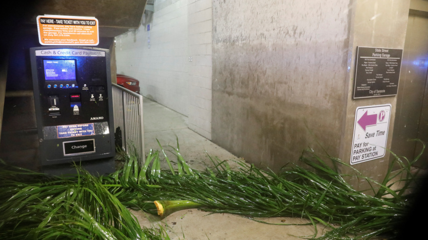 ঘুর্ণিঝড় মিলটনের প্রভাবে ফ্লোরিডায় জনজীবন বিপর্যস্ত হয়ে পড়েছে। ছবি: রয়টার্স