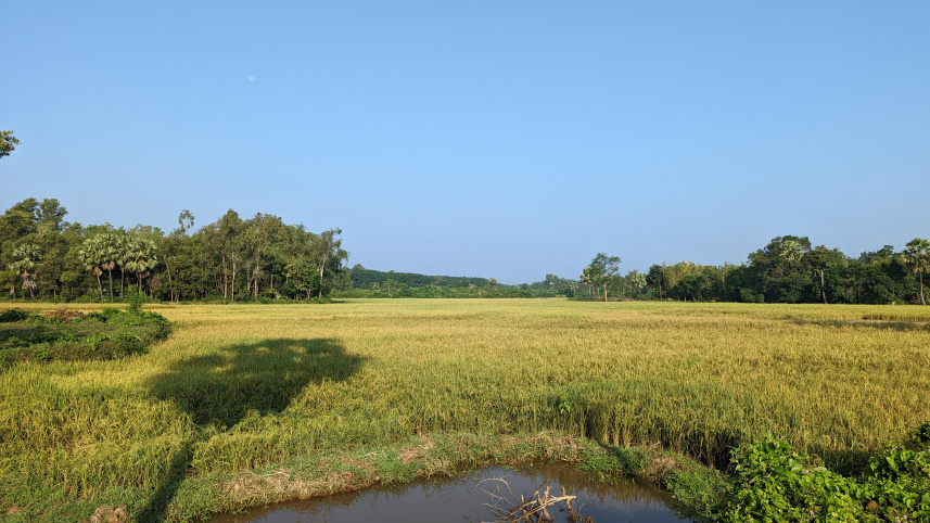 কার্তিক