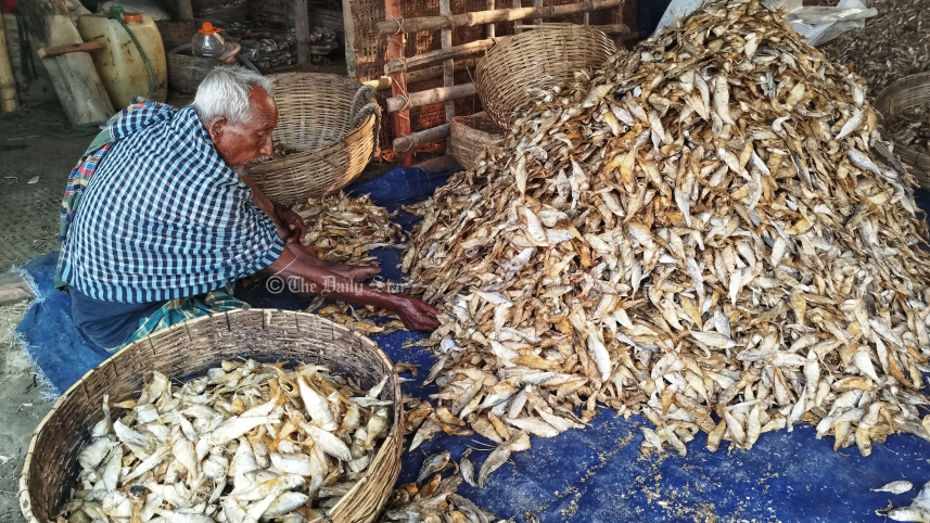 দুবলার চর