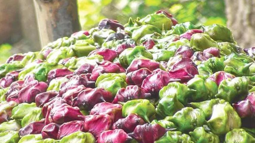 পানিফলের উপকারিতা