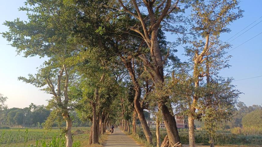 বান্দরবান