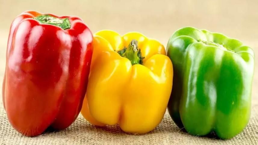 ক্যাপসিকামের উপকারিতা