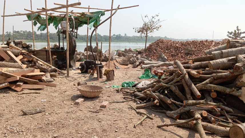 ইটভাটায় প্রধান জ্বালানি হিসেবে কয়লা ব্যবহারের নিয়ম থাকলেও বাস্তবে বেশিরভাগ ভাটায় ব্যবহার হচ্ছে কাঠ। ছবি: জাহিদ হোসেন/স্টার